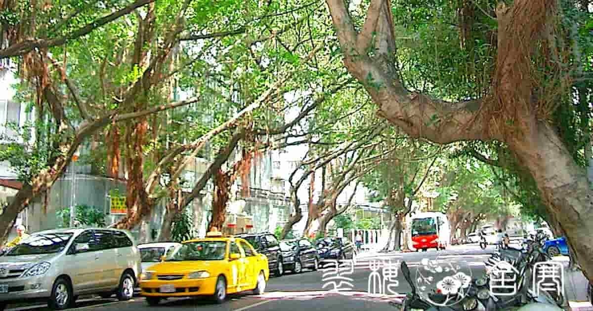 榕樹（ガジュマル）の並木道が美しい民生社區